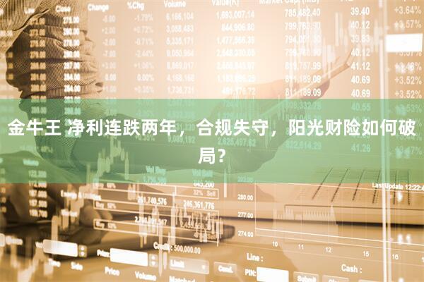 金牛王 净利连跌两年，合规失守，阳光财险如何破局？